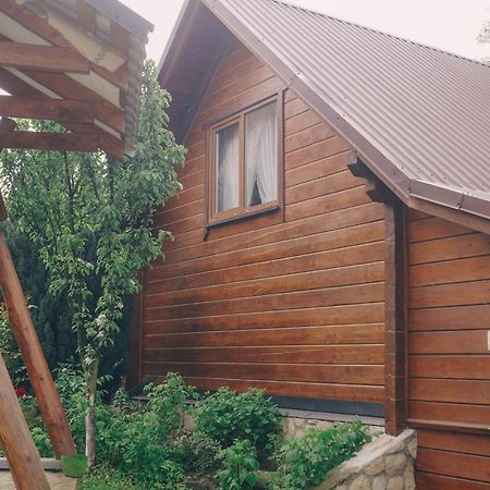 Будиночок В Карпатах 야렘체 외부 사진