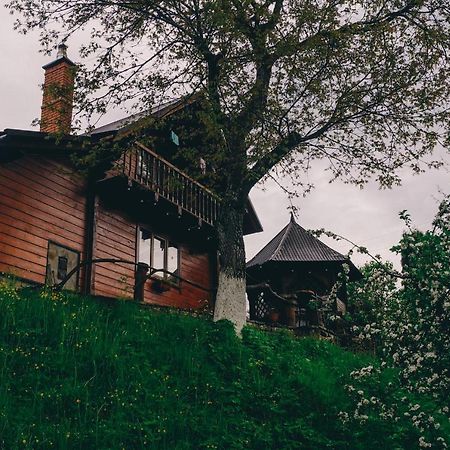 Будиночок В Карпатах 야렘체 외부 사진